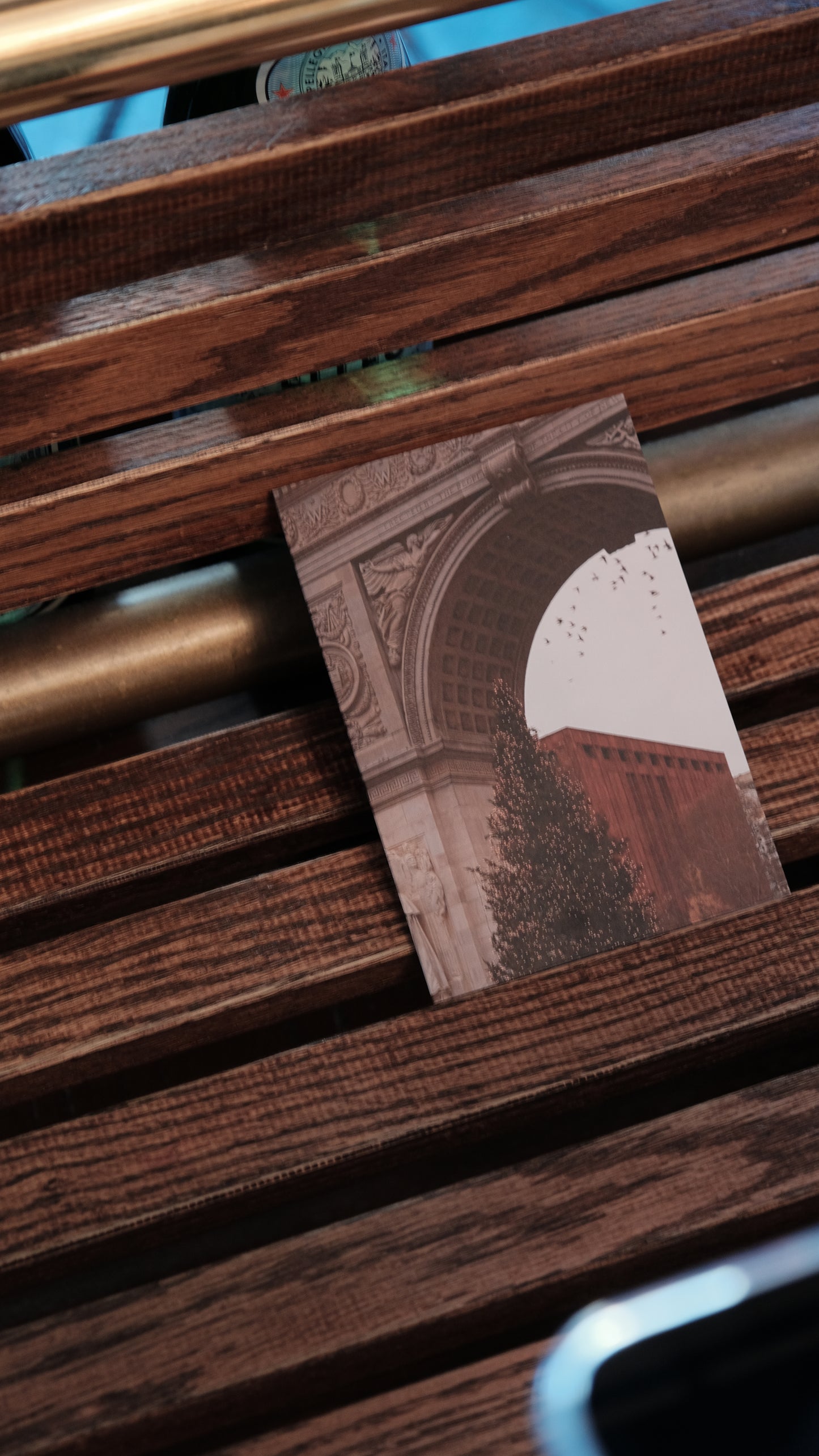 HOLIDAY CARD SET | WASHINGTON SQURE PARK CHRISTMAS TREE BROWN