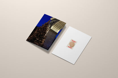 HOLIDAY CARD SET | WASHINGTON SQURE PARK CHRISTMAS TREE